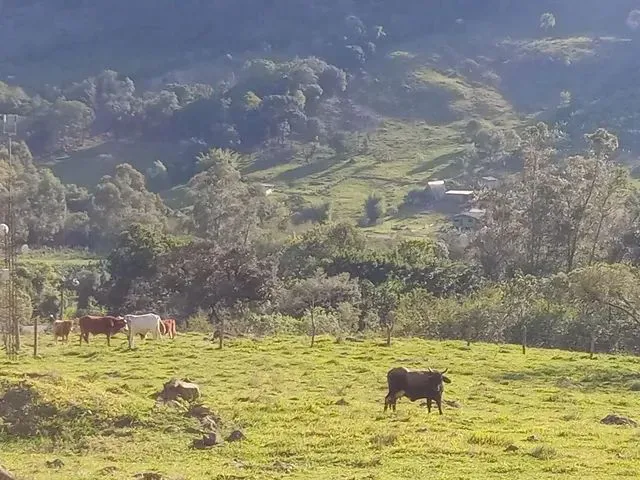 Imagem 5: Linda Área 8 Hectares Frente para a Rota do Sol