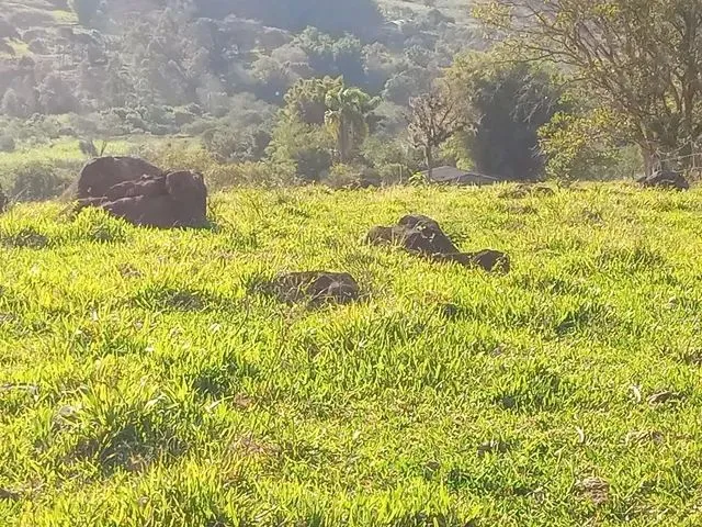 Imagem 2: Linda Área 8 Hectares Frente para a Rota do Sol