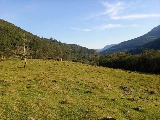 Imagem 12: Linda Área 8 Hectares Frente para a Rota do Sol