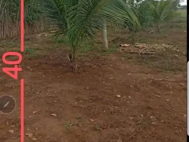 Imagem: Terreno na Zona Rural de Coração de Maria-Ba