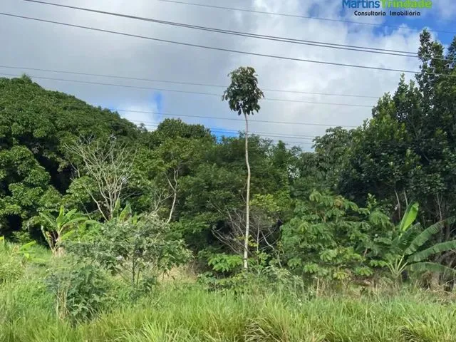 Imagem 4: Lote/Terreno para Venda com 21176 Metros Quadrados em Cascalheira (Abrantes) - Camaçari