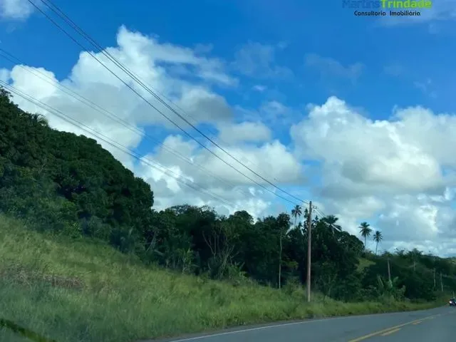 Imagem 3: Lote/Terreno para Venda com 21176 Metros Quadrados em Cascalheira (Abrantes) - Camaçari
