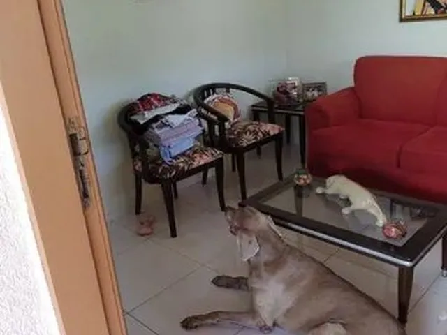 Imagem 6: Casa com 3 Dormitórios À Venda, 200 M² por R$ 600.000,00 - Catu de Abrantes