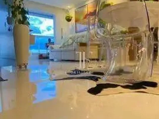 Imagem: Apartamento com Suíte e 1 Vaga de Garagem