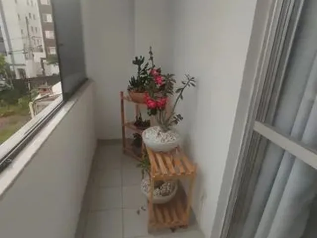 Imagem 7: Belo Horizonte - Padrão - Castelo