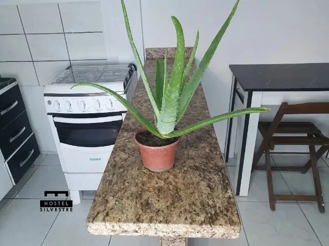 Imagem 5: Alugo Kitnete Mobiliada em Curitiba 997,00