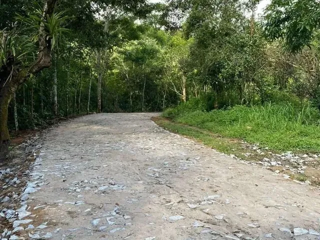 Imagem 3: Terreno / lote com venda por R$66.000