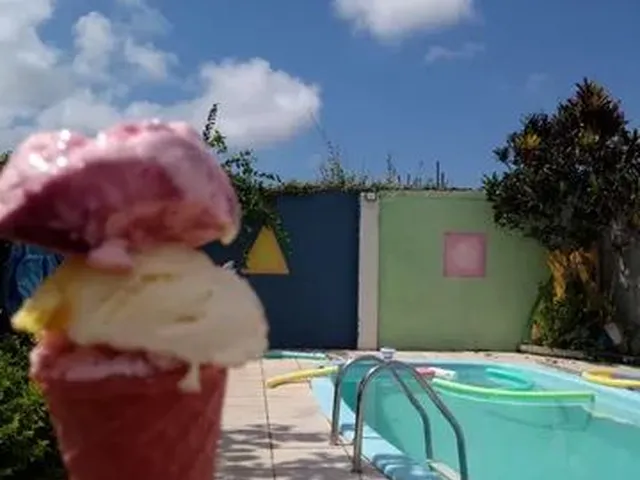 Imagem 8: Alugo Casa com 4 Quartos no Rio Vermelho