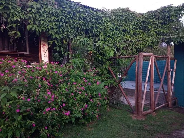 Imagem 2: Alugo Casa com 4 Quartos no Rio Vermelho