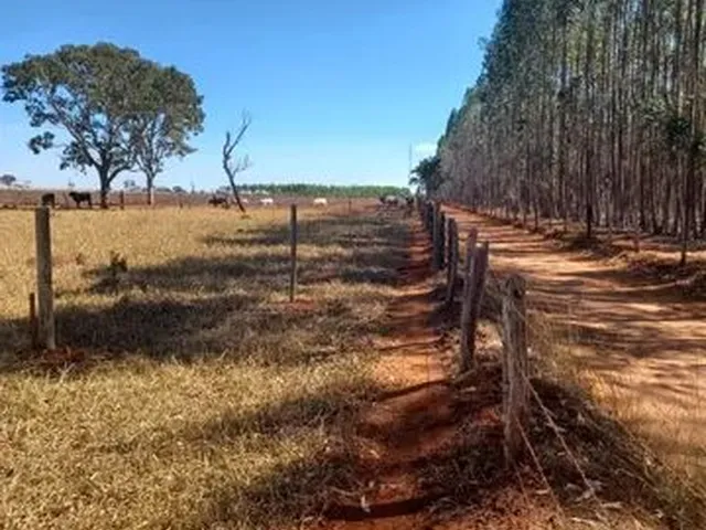 Imagem: Chácaras em Guapo Sendo 3 Km e Meio Apenas