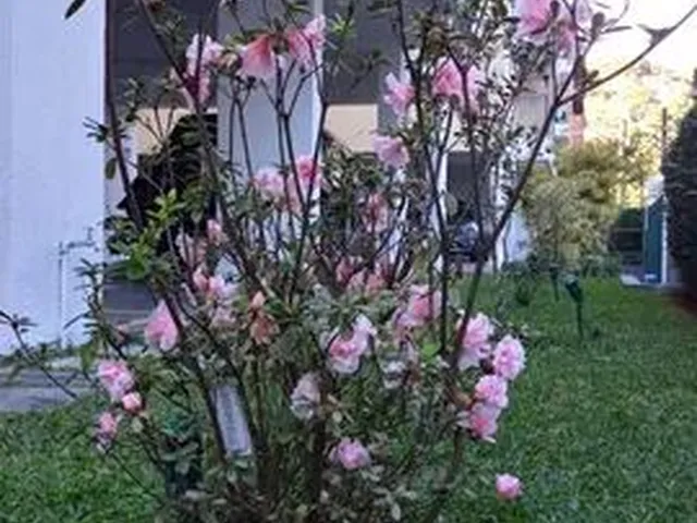 Imagem 3: Vendo Linda Cobertura em Petrópolis