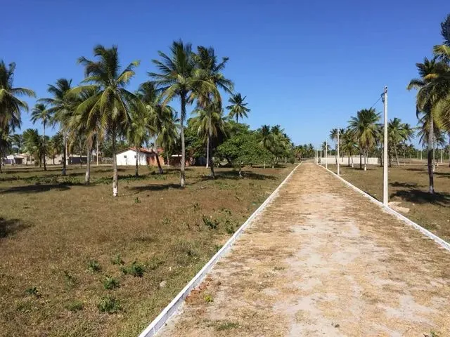 Imagem 2: Loteamento Parque dos Coqueiros Pronto para Construir em Paracuru Ultimas Unidades