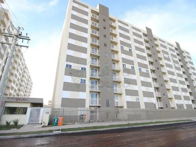 Imagem 8: Apartamento Padrão em Pelotas