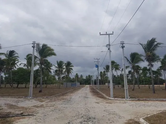 Imagem 3: Loteamento Parque dos Coqueiros Pronto para Construir em Paracuru Ultimas Unidades