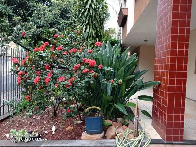 Imagem 14: Sobrado.proximo a Uem.oportunidade!!!