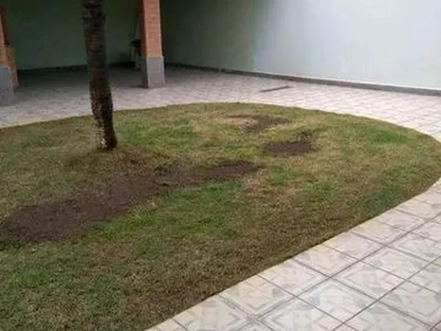 Imagem: Casa com 3 Dormitórios À Venda, 330 M²