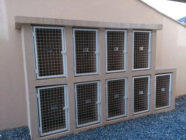 Imagem 9: Apartamento para Aluguel no Vila Nova