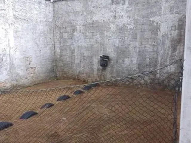 Imagem 11: Locação de Imóvel ( Apartamento