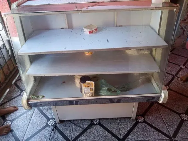 Imagem 1: Vendo Esse Expositor de Verduras Funcionando Perfeitamente
