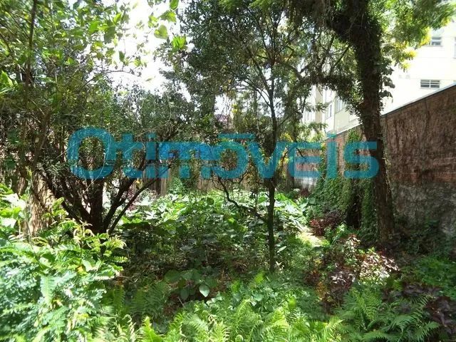 Imagem 5: Curitiba - Terreno Padrão - São Francisco