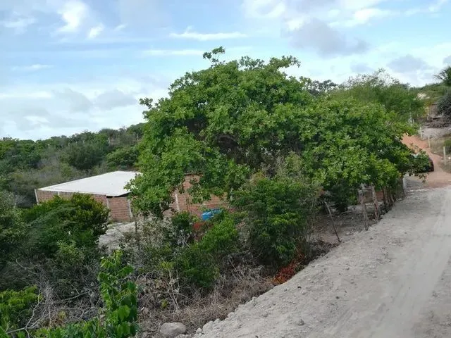 Imagem 1: 523M2 de Terreno Murado com Portão, Água, Luz e 2 Construções Excelente Preço! A