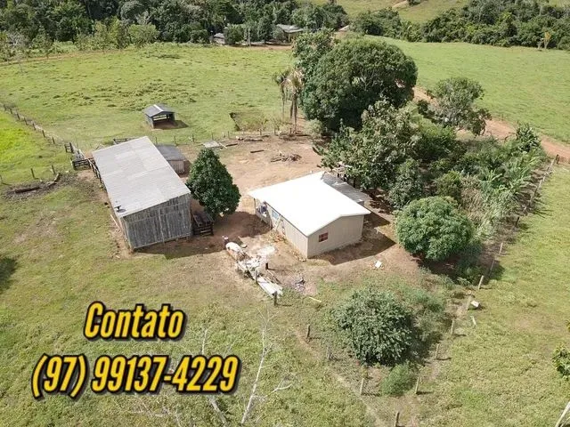 Imagem: Excelente Propriedade