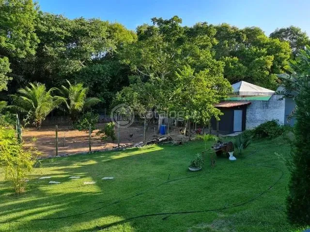 Imagem: Excelente Chácara em Parnamirim