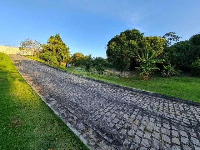 Imagem 10: Excelente Chácara em Parnamirim