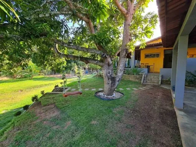 Imagem 6: Excelente Chácara em Parnamirim