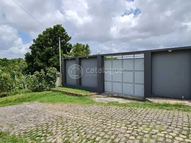Imagem 16: Excelente Chácara em Parnamirim