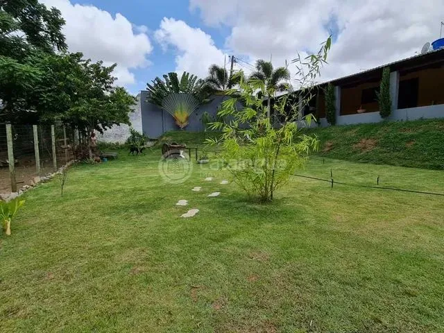 Imagem 7: Excelente Chácara em Parnamirim