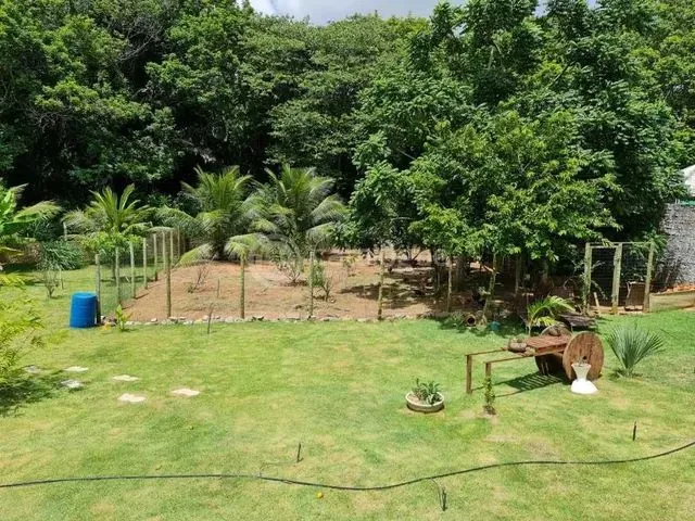 Imagem 15: Excelente Chácara em Parnamirim