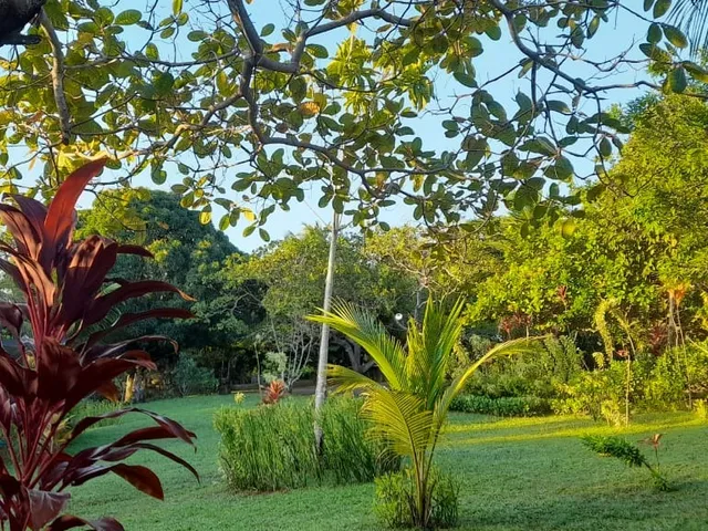 Imagem 4: Casa de 3 Quartos com 2 Suítes à Venda em Pojuca-BA, Bairro Cahoeirinha: 2 Salas, 3