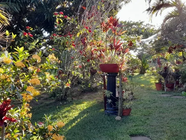 Imagem 11: Casa de 3 Quartos com 2 Suítes à Venda em Pojuca-BA, Bairro Cahoeirinha: 2 Salas, 3