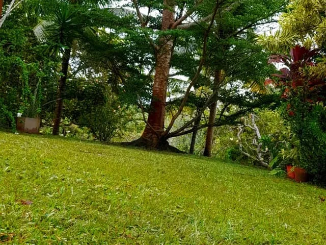 Imagem 5: Casa de 3 Quartos com 2 Suítes à Venda em Pojuca-BA, Bairro Cahoeirinha: 2 Salas, 3