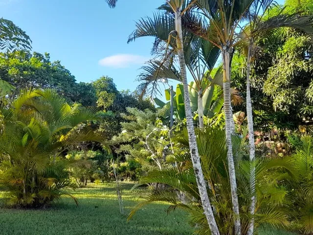 Imagem 2: Casa de 3 Quartos com 2 Suítes à Venda em Pojuca-BA, Bairro Cahoeirinha: 2 Salas, 3
