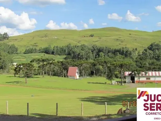 Imagem: São Joaquim - Rural - Monte Alegre
