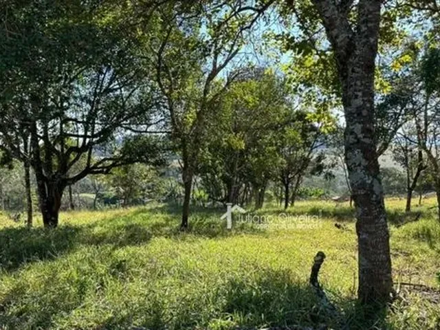 Imagem: Terreno no Bairro Algodão
