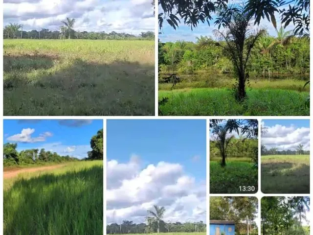 Imagem: Terra Boa e Barata