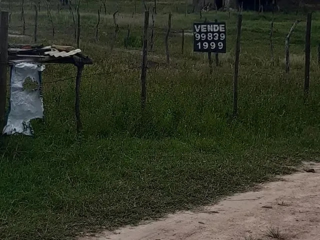 Imagem 3: Terreno Ou Lote Tanque Grande , Serrinha