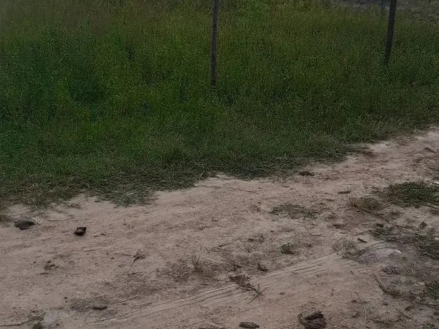 Imagem 2: Terreno Ou Lote Tanque Grande , Serrinha