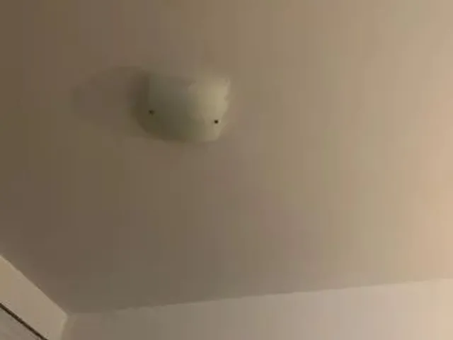 Imagem: Quarto para Alugar