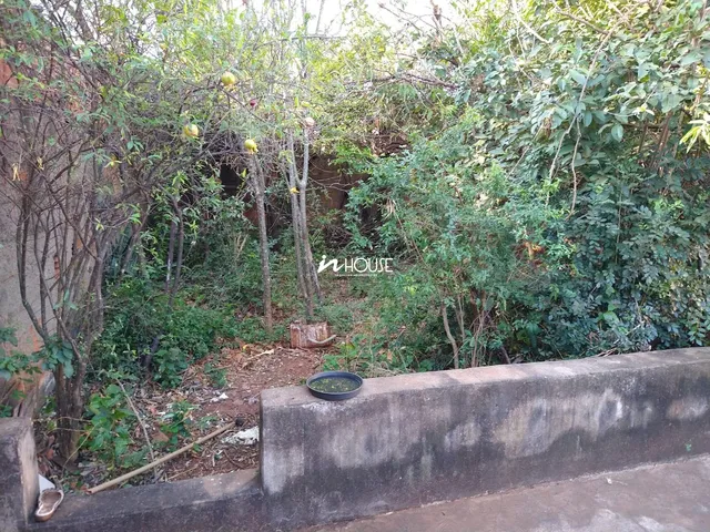 Imagem 13: Casa com 3 Quartos Sendo 1 Suíte no Bairro Presidente Roosevelt