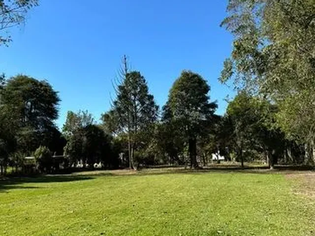 Imagem: Chácara 5000M² no Município de Cunha-Sp