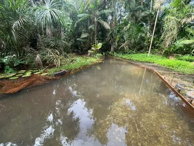Imagem 1: Sítio com Igarapé