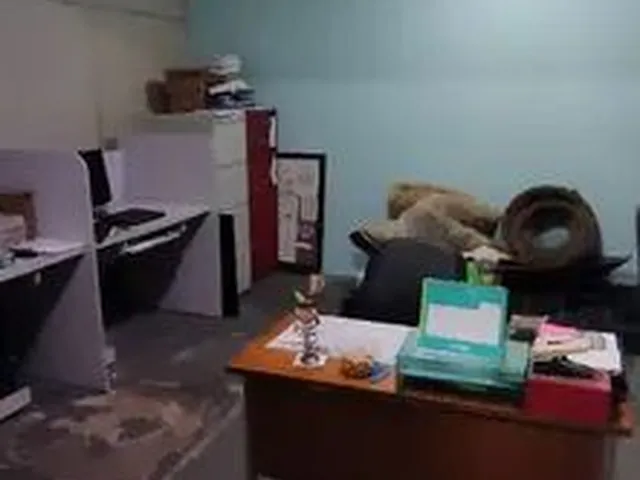 Imagem 11: /Alugo Prédio Comercial com 4 Andares