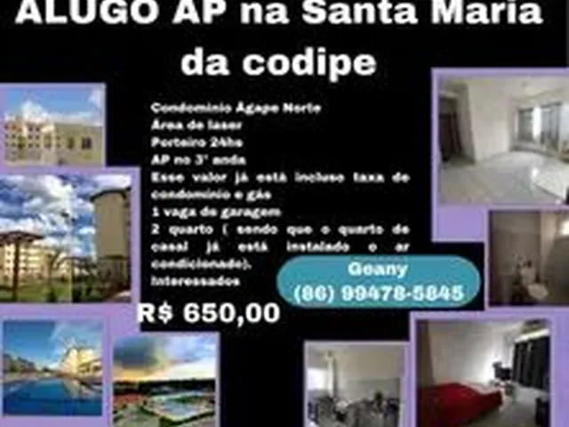 Imagem: Alugo Ap na santa Maria da Codipe
