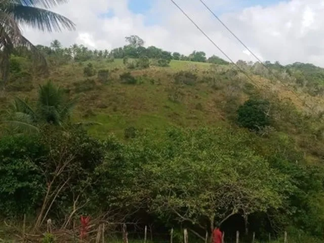 Imagem: Vendo Excelente Sitio em Aratuipe Bahia