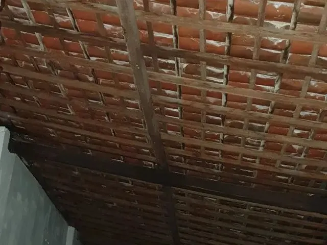 Imagem 3: Excelente Galpão Atrás do Fórum Cível
