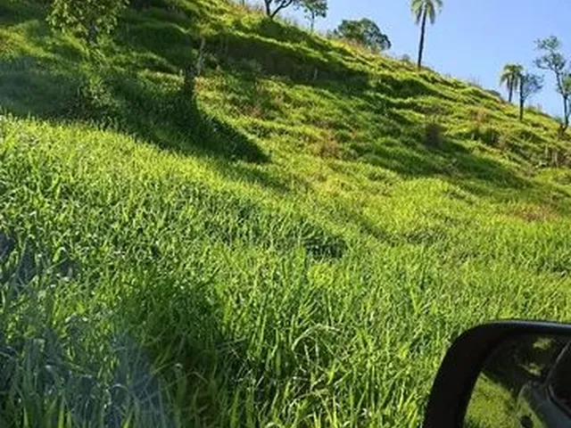 Imagem: 50,6 Alqueire santa Maria do Oeste